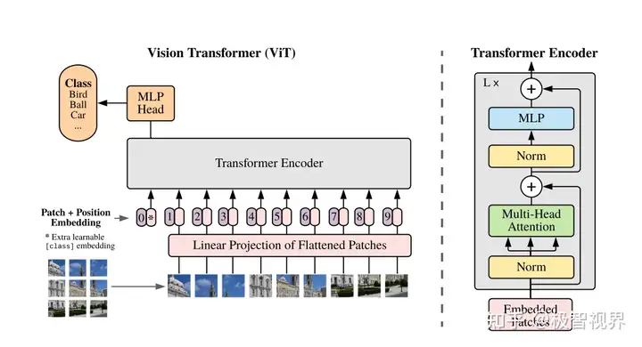 极智AI | 详解 ViT 算法实现-卡咪卡咪哈-一个博客