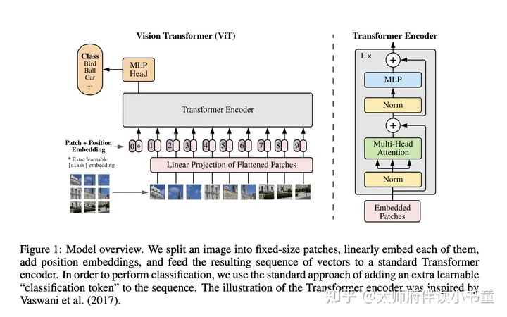 Vision Transformer（ViT）：打通CV与NLP领域的经典之作-卡咪卡咪哈-一个博客