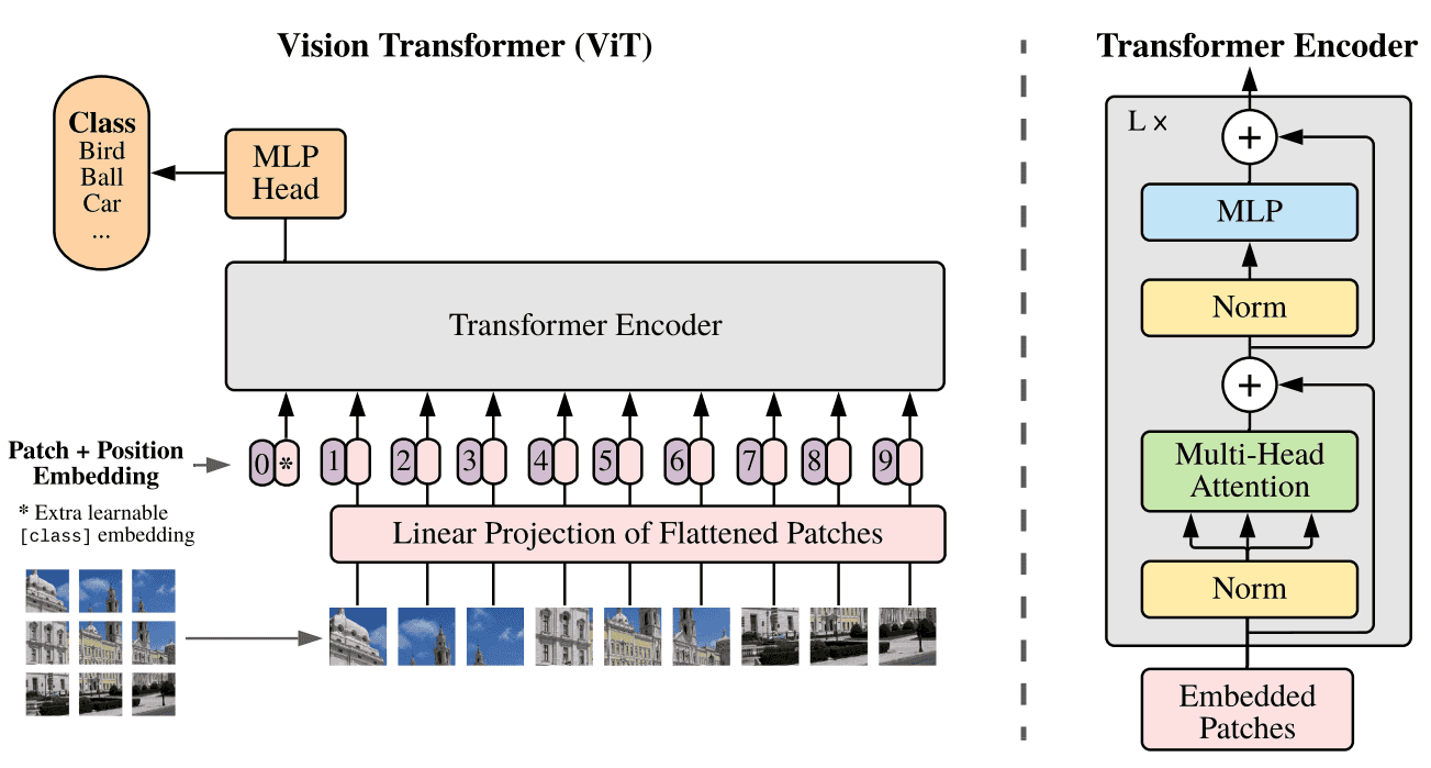 用 Vision Transformer 进行图像分类-卡咪卡咪哈-一个博客